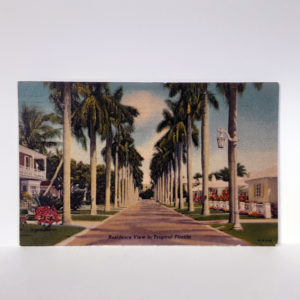 Original Authentic 1955 Post Card “Florida” to Molenaar Harley-Davidson