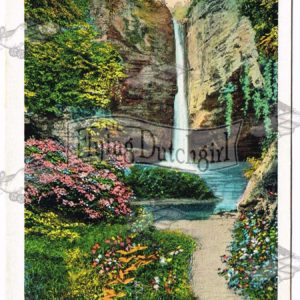 Vintage Postcard – 1949 Tonti Canyon, Starved Rock State Park, Ill.