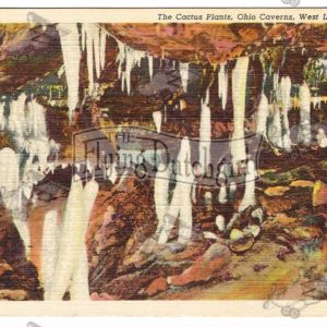 Vintage Postcard – 1949 Ohio Caverns, West Liberty, Ohio