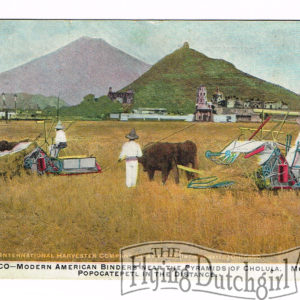 Vintage Postcard – 1909  “Pyramids of Cholula”  Mexico