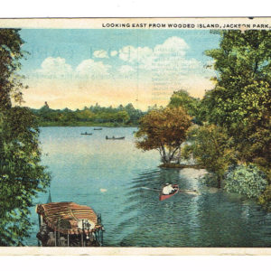 Vintage Postcard – 1919  “Wooden Island”  Jackson Park, Chicago.