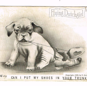 Vintage Postcard – 1910  “Can I put My Shoes”  Bourbonnais, Ill.