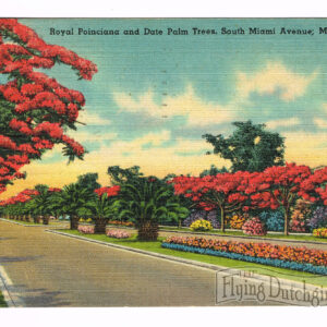 Vintage Postcard – 1948  “South Miami Ave”  Miami, Florida.