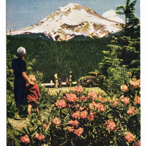 Vintage Postcard – 1945  “Mt Hood”  Oregon.