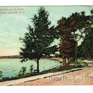 Vintage Postcard – 1909  “Owasco Road”  Lake Near Auburn, N.Y.