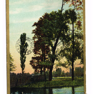 Vintage Postcard – 1909  “Scene from Barryton Mich.”