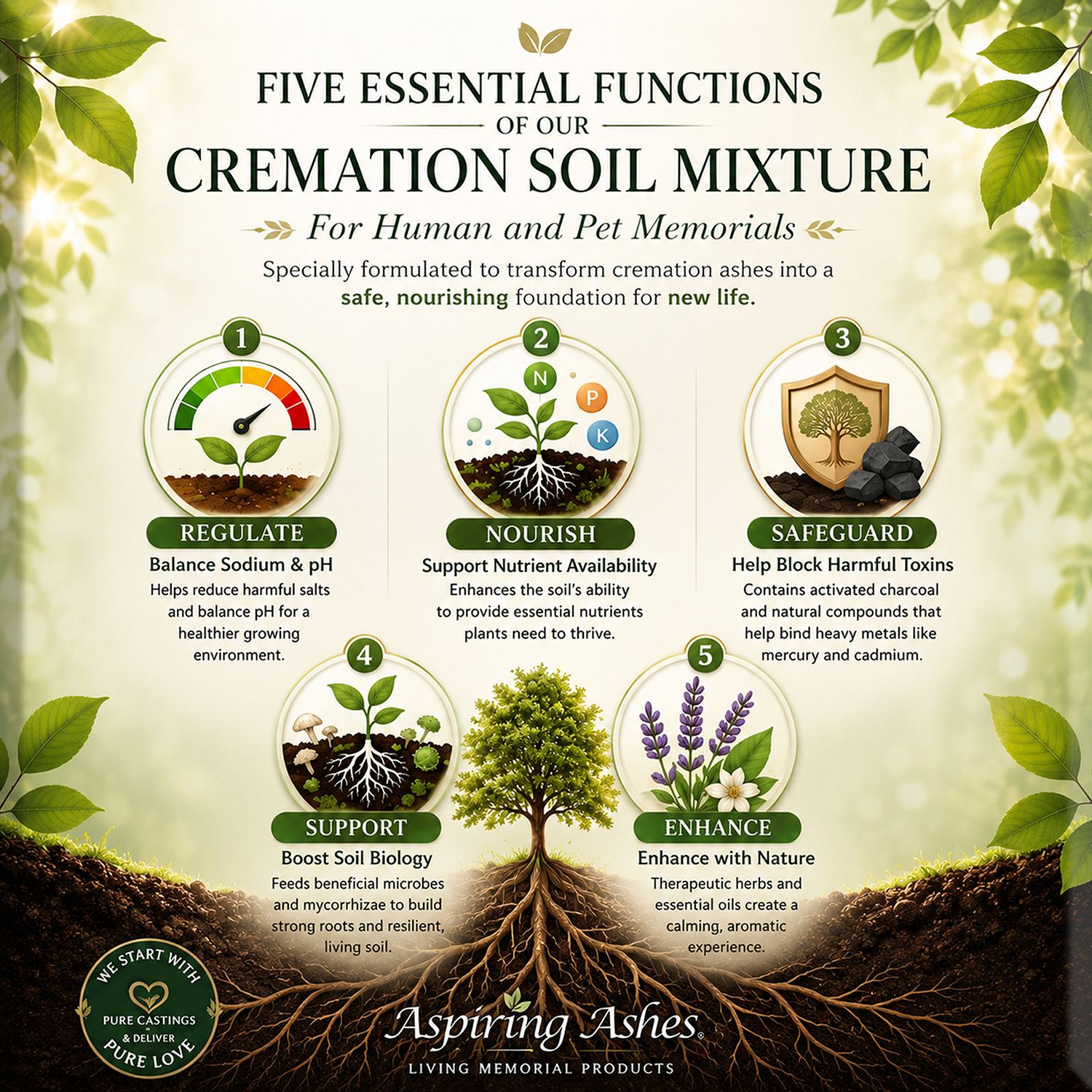 Nature-inspired infographic explaining the five essential functions of the Aspiring Ashes Soil Cremation Mixture for human and pet memorials. Features icons representing sodium and pH regulation, nutrient availability, heavy metal safeguards, soil biology support, and aromatherapy enhancement above a healthy root system and memorial tree.