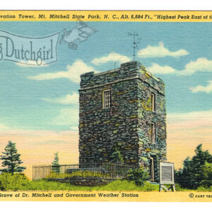 Vintage Linen Postcard – 1930’s  “Mitchell State Park”  N. C .