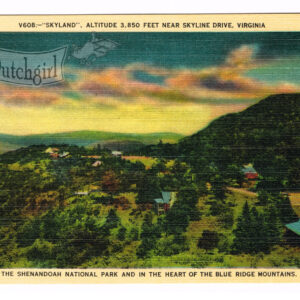 Vintage Linen Postcard – 1930’s  “Shenandoah National Park”  Blue Ridge Mts.