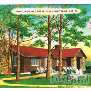 Vintage Linen Postcard – 1930’s  “Wild Life Museum”  Pymatuning Lake, Penn.