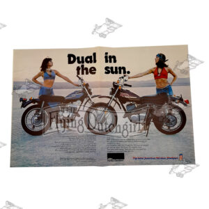 Vintage Original 1975 Harley-Davidson “SX-175, SX-250” Poster