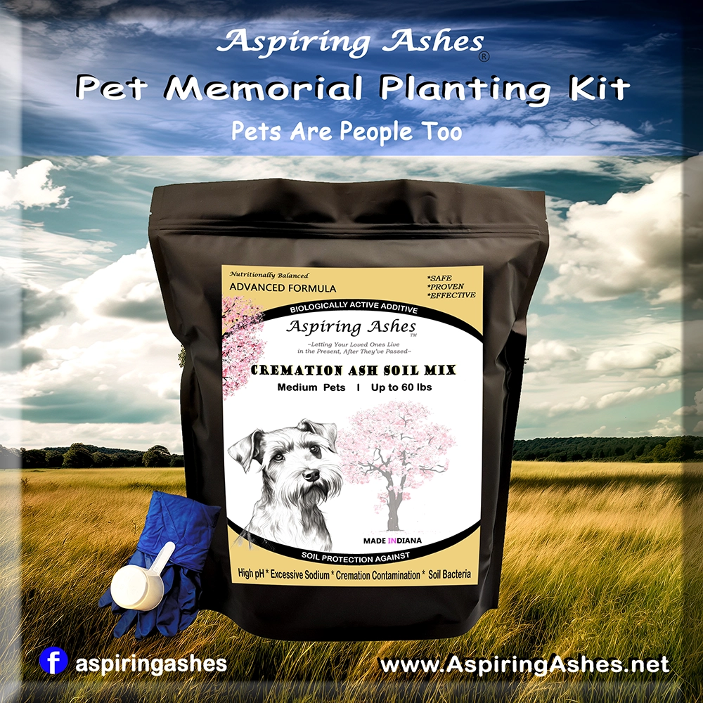 Medium Pet Memorial Kit | Pet Memorial Planting Kit | Plant Pet Ashes Pet Memorial Plant Kit | Living Memorial Soil | How Do I Store my Pet for Cremation | Cremation Ashes Memorial Kit | Planting Ashes with Tree | Planting Ashes