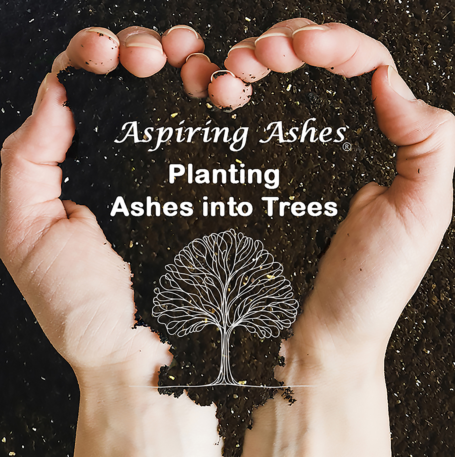 Two hands curve into a heart around dark, textured memorial soil with a white tree illustration and the words Planting Ashes into Trees, symbolizing a living memorial made with cremated remains and Aspiring Ashes soil cremation mixture.