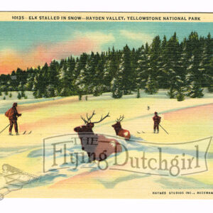 Vintage 1940’s “Hayden Valley” Yellowstone, National Park. Linen Postcard