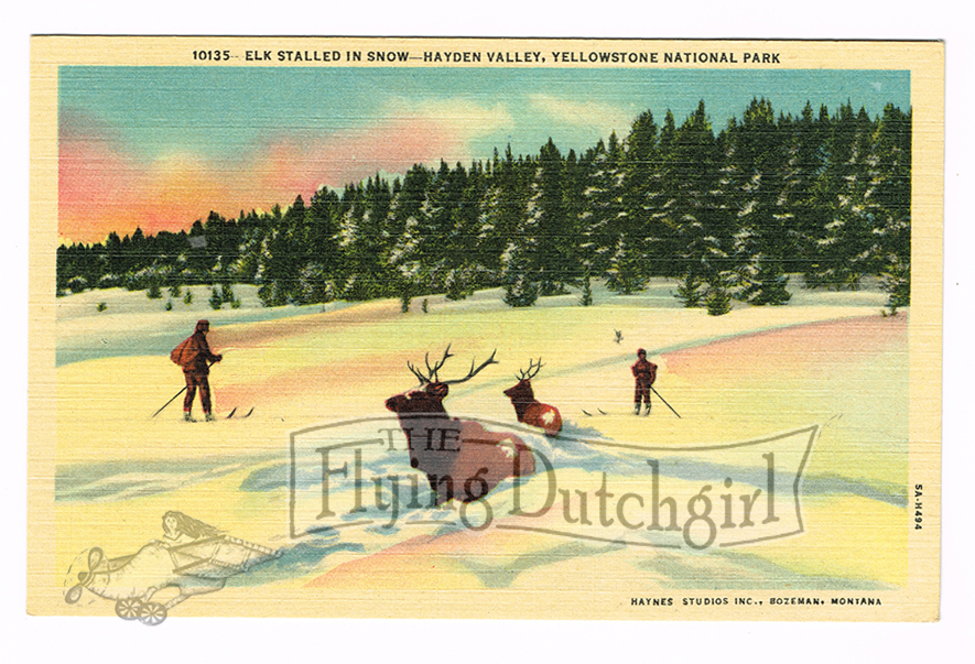 Vintage 1940's "Hayden Valley" Yellowstone, National Park. Linen Postcard