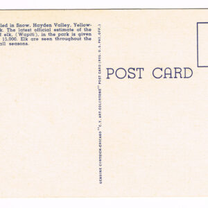 Vintage 1940’s “Hayden Valley” Yellowstone, National Park. Linen Postcard