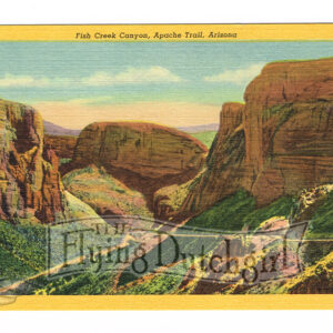 Vintage 1940’s “Fish Creek Canyon” Apache Trail, Arizona. Linen Postcard