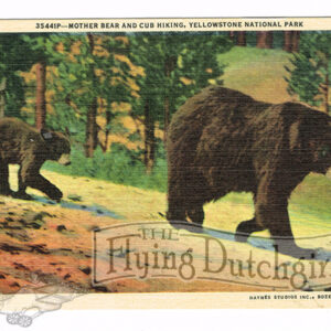 Vintage 1940’s “Mother Bear and Cubs” Yellowstone National Park. Linen Postcard