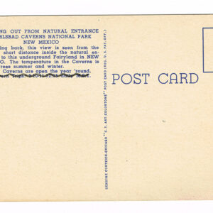 Vintage 1940’s “Carlsbad Caverns” New Mexico. Linen Postcard
