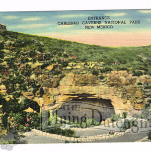 Vintage 1940’s “Entrance” Carlsbad Caverns, New Mexico. Linen Postcard