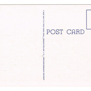 Vintage 1940’s “Buffaloes” Black Hills, S.D. Linen Postcard