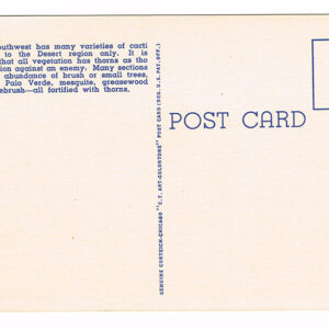 Vintage 1940’s “Cacti” Southwest, U.S.A. Linen Postcard
