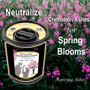 Neutralization Canister: Cremation Ash Neutralizing Kit for Scattering (4 cups)
