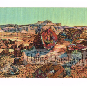 Vintage 1940’s “Petrified Forest” Arizona, Linen Postcard