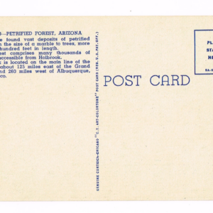 Vintage 1940’s “Petrified Forest” Arizona, Linen Postcard