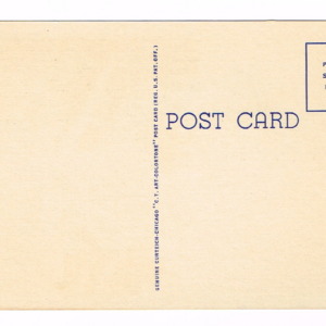 Vintage 1940’s “Tyrannosaurus Rex” Rapid City, S.D. Linen Postcard