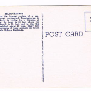 Vintage 1940’s “Brontosauras” Rapid City, S.D.  Linen Postcard