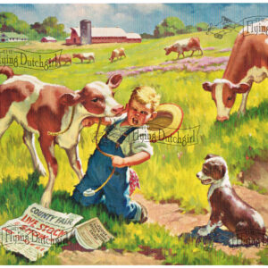 1940s Vintage Salesman Sampler Lithographic Calendar Print “Kissed by a Calf “