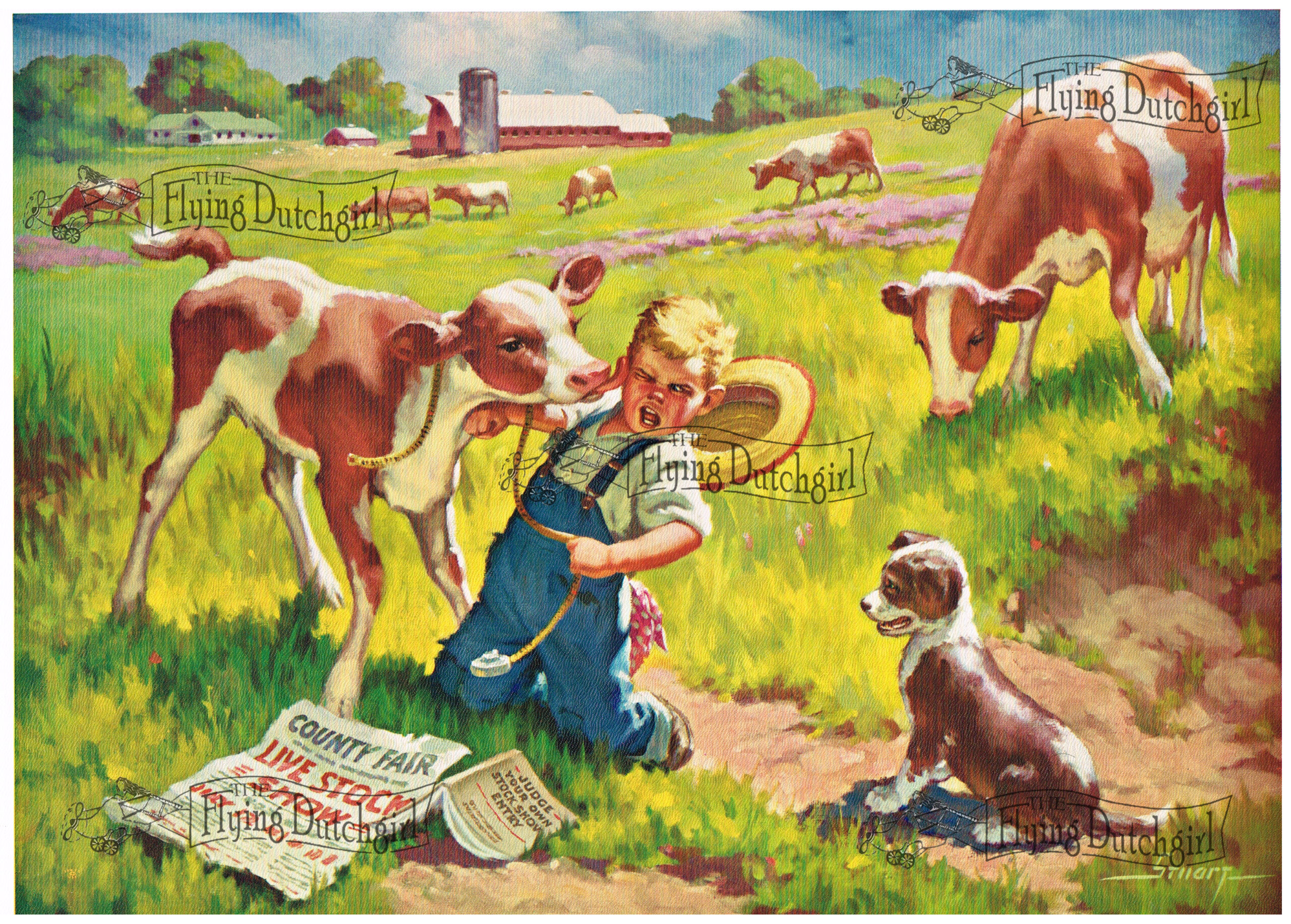 1940s Vintage Salesman Sampler Lithographic Calendar Print "Kissed by a calf " little boy gets a surprise kiss from his calf